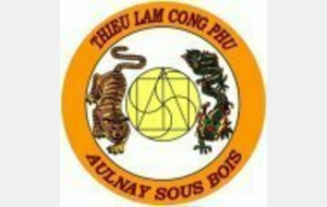 STAGE ANNUEL TRUC LIEN VO DAO AULNAY
